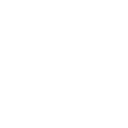 Apister